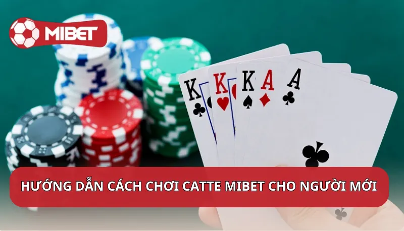 Hướng dẫn cách chơi Catte Mibet cho người mới