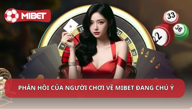 Phản hồi của người chơi về Mibet đang chú ý